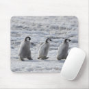 Suche nach drei tiere mousepads Vogel