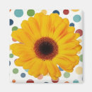 Suche nach gerber magnete Daisy