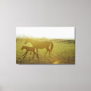 Suche nach pferdebilder leinwandbilder Cowboy