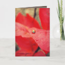 Suche nach die marienkäfer karten Für alle