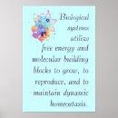 Suche nach naturwissenschaften poster Schule