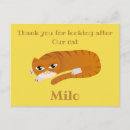 Suche nach orange katze karten Für haustiere