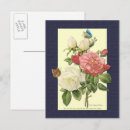 Suche nach weiße rose postkarten Jede person