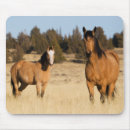 Suche nach wilde pferde mousepads Stute