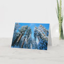 Suche nach sequoia karten Schnee