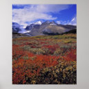Suche nach heidelbeere poster Natur