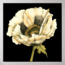 Suche nach poppy poster Mohn