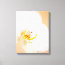 Suche nach die orchidee leinwandbilder Liebe