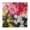 Suche nach san miguel fliesen Blume