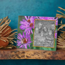 Suche nach honigbiene fotoplatten Blume