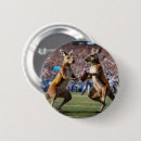 Suche nach kängurus buttons Lustig