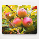 Suche nach apfel mousepads Jede person