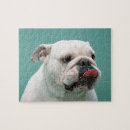 Suche nach bulldog puzzle Natur