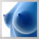 Suche nach dreidimensional poster Menschliche anatomie