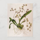 Suche nach gravieren postkarten Blume