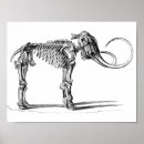 Suche nach mammut poster Für alle