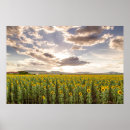 Suche nach agriculture poster Field