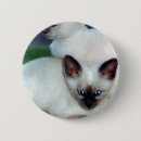 Suche nach siamesisch buttons Katze