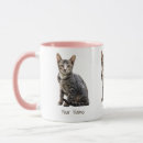 Suche nach tomcat tassen Katze