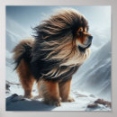 Suche nach mastiffs poster Tibetischer mastiff