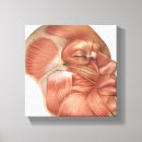 Suche nach menschliche anatomie leinwandbilder Kopf