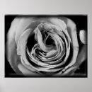 Suche nach lücken poster Natur