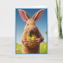 Suche nach der aardvark karten Tiere