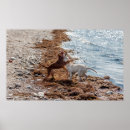 Suche nach zwei hunde poster Freunde