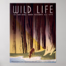 Suche nach wildes leben poster Rotwild