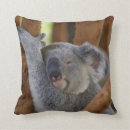 Suche nach koalabär kissen Australien