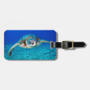 Suche nach meeresschildkröte gepäckanhänger Meerestiere