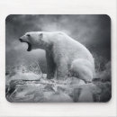 Suche nach eisbären mousepads Arktisch