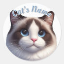 Suche nach ragdoll aufkleber Birman