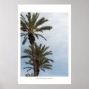 Suche nach kalifornien palmen poster Bäume