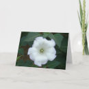 Suche nach unkräuter karten Blume