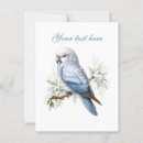 Suche nach wintervögel postkarten Für alle