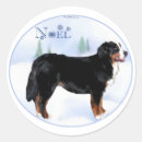 Suche nach bernese mountain dog aufkleber Tiere
