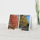 Suche nach nevada karten Gelb