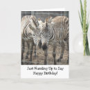 Suche nach zebras karten Spaß