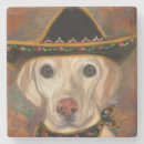 Suche nach cinco untersetzer Geburtstag