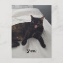 Suche nach yume postkarten Leckerei
