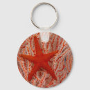 Suche nach meereswelt schlüsselanhänger Seestern