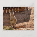 Suche nach tierheim karten Jede person