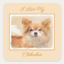 Suche nach chihuahua aufkleber Welpe