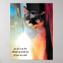 Suche nach katze im fenster poster Haustier