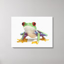 Suche nach reptil leinwandbilder Kaltblütig