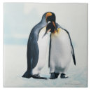 Suche nach pinguin fliesen Natur