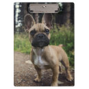 Suche nach bulldogge klemmbrett Für alle