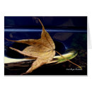 Suche nach fallblatt Herbst