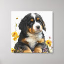 Suche nach berner poster Haustiere